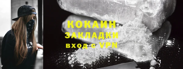 шишки Новокубанск