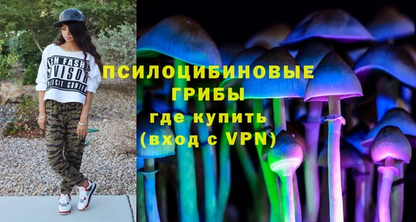 наркотики Новозыбков