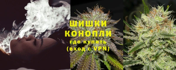 шишки Новокубанск